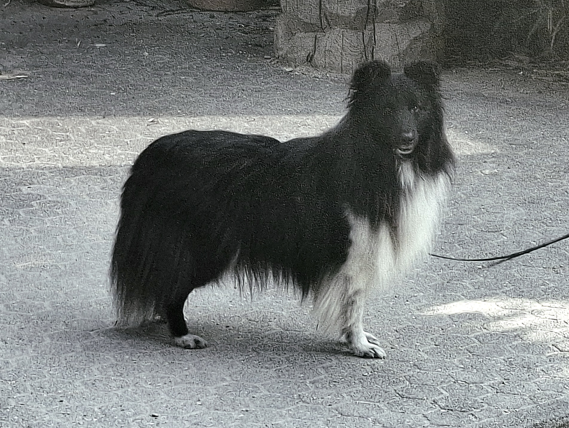 Bild laden 14841_1000046610.jpg