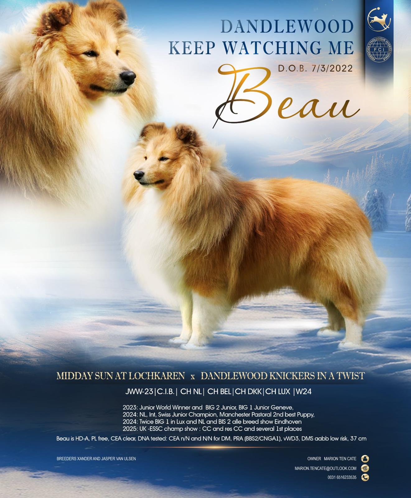 Bild laden 15616_DandlewoodKeepWatchingMe2.jpg