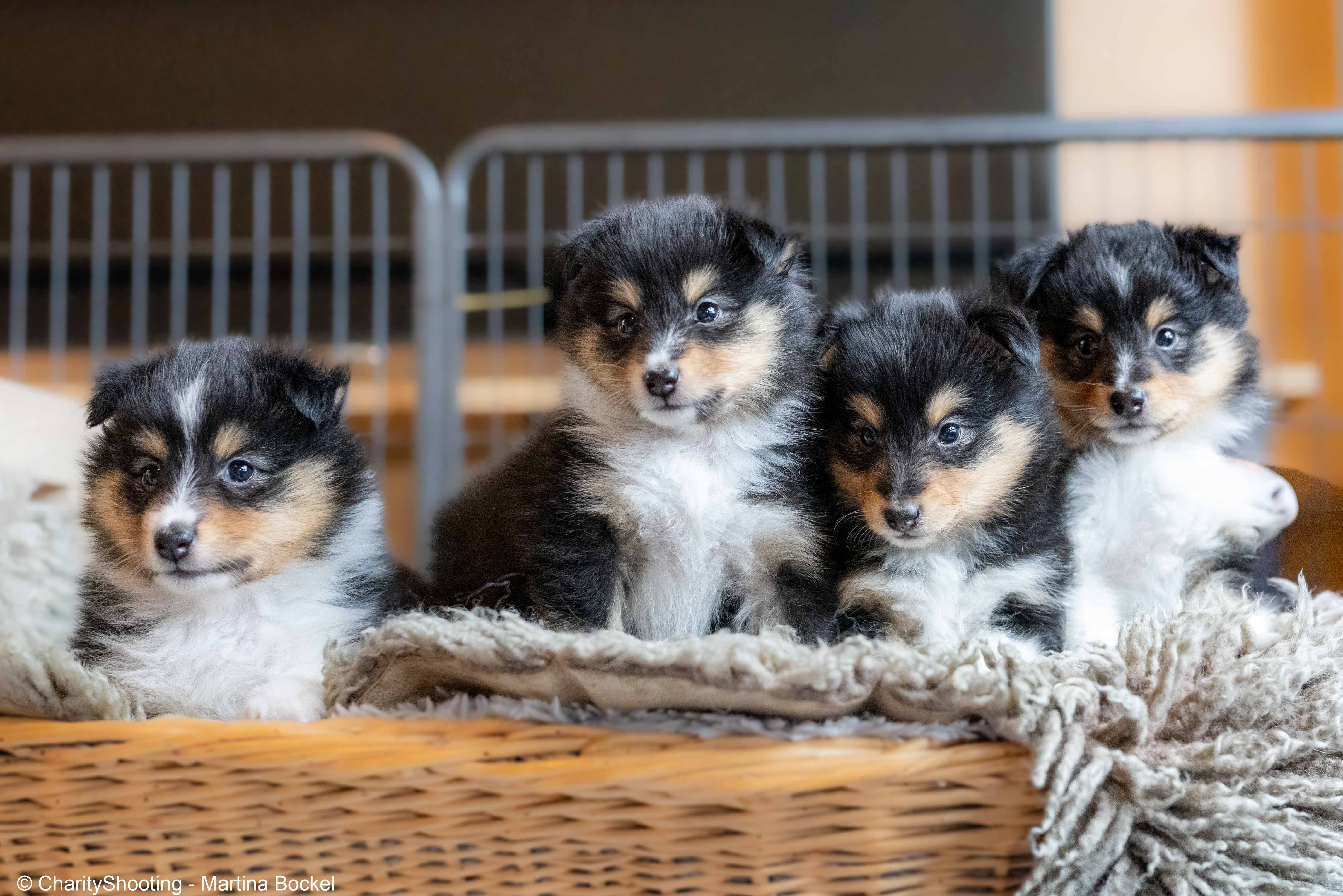 Bild laden wb_1595_R6M_2426.jpeg