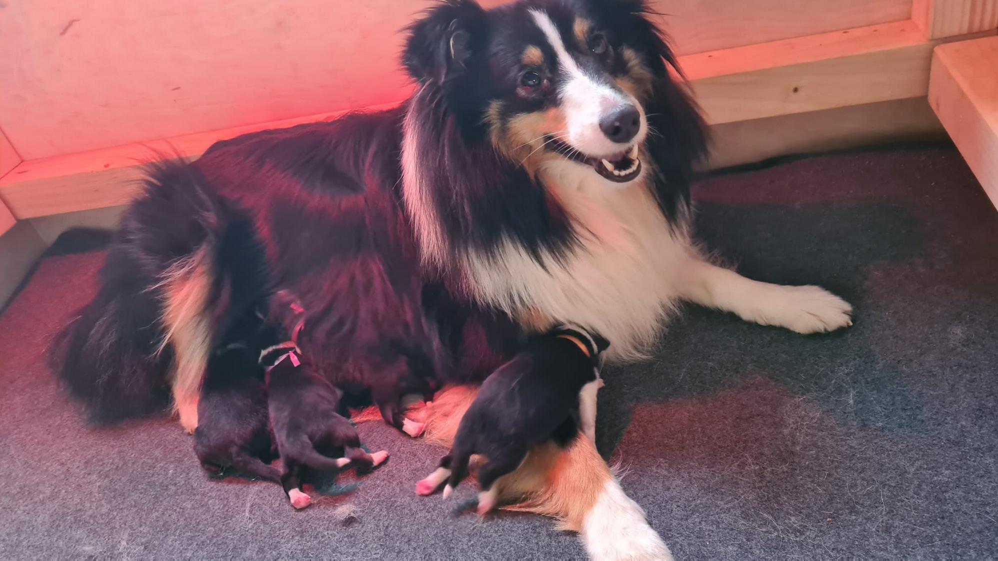 Bild laden wb_1608_WhatsAppImage20251220at17.02.175a.jpeg